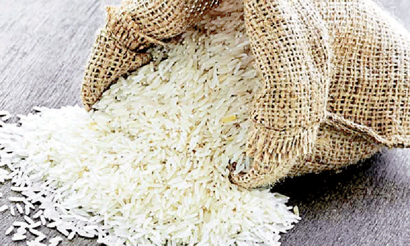 rice ads banner