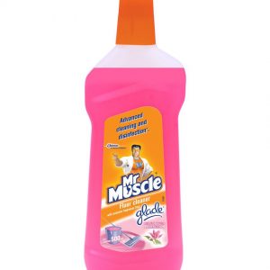 Mr. Clean Floor Cleaner - 500 ml