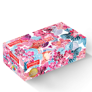Bashundhara Facial Tissue Box 120 x 2 Ply